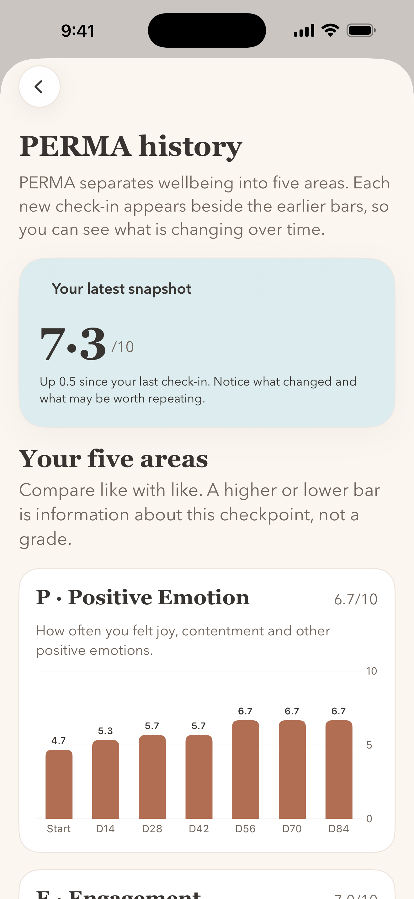 Believe PERMA history summary on iPhone